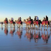 Broome